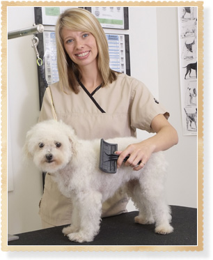 Pet Grooming Services - The Yancey Clinic of Veterinary Medicine